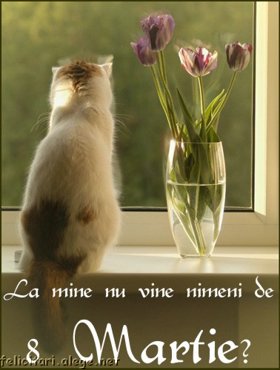 La Mine Nu Vine Nimeni De 8 Martie